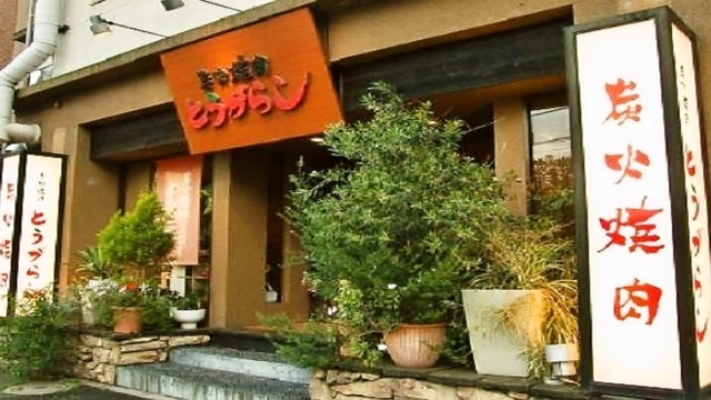 炭火焼肉とうがらし